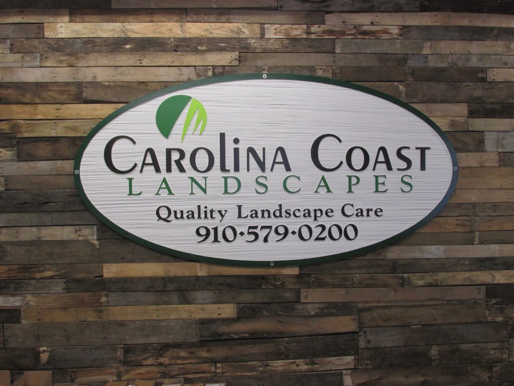 Carolina Coast Landscapes